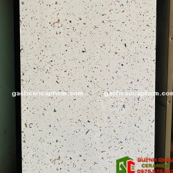 Những mẫu gạch nhập khẩu 60x120 terrazzo bóng kiếng trang trí cao cấp