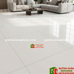 Gạch lát nền ấn độ 100x100 xương đá porcelain bề mặt màu trắng bóng kiếng