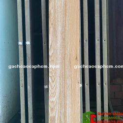 Gạch Giả Gỗ 20x100 Giá Rẻ Trà Vinh