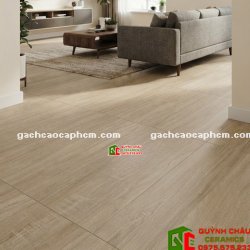 Gạch 60x120 giả gỗ màu nâu nhạt vân tự nhiên