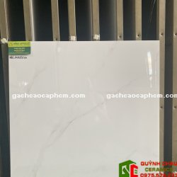 Gạch Bóng Kiếng Giá Rẻ 60x60 Long An