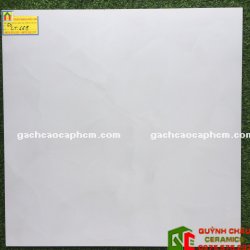 Gạch Bóng Kiếng Cao Cấp 60x60 Giá Rẻ