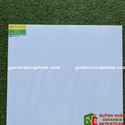 Gạch Bóng Kiếng Toàn Phần 60x60 Trắng Xanh