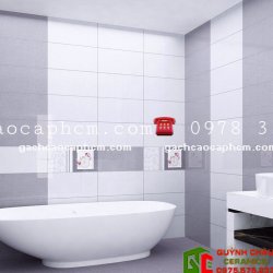 Gạch 30x60 ốp tường nhà tắm # Mẫu gạch dán tường toilet đẹp giá rẻ