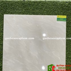 Gạch Bóng Kiếng 60x60 Cà Mau