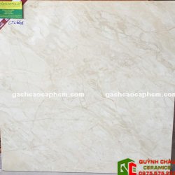 Gạch Bóng Kiếng Toàn Phần 60x60 Trà Vinh