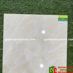 Gạch Bóng Kiếng 60x60 Giá Rẻ Vĩnh Long