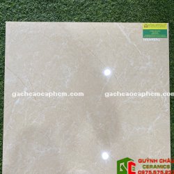 Gạch Bóng Kiếng Giá Rẻ 60x60 Đồng Tháp