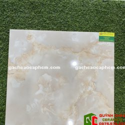 Gạch Bóng Kiếng 60x60 Giá Rẻ Hậu Giang 