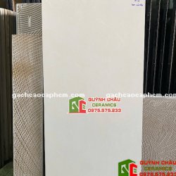 Gạch 60x120 CMC xương đá mờ vàng kem nhạt