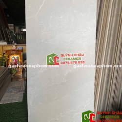 Gạch 60x120 giả đá mờ xám cao cấp        