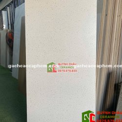 Gạch 60x120 Terrazzo bề mặt hạt mịn đá mờ