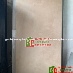 Gạch ấn độ ốp lát 80x160 màu nâu vàng đất men mờ