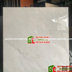 Gạch bóng kiếng 120x120 full body ấn độ cao cấp                             