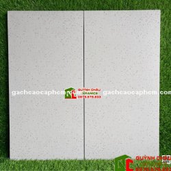 Gạch granite kis đá terrazzo màu sáng 60x120cm