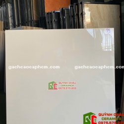 Gạch lát nền ấn độ 100x100 xương đá porcelain bề mặt màu trắng bóng kiếng