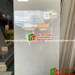 Gạch nhập khẩu trung quốc 60x120 đá đồng chất chống xước