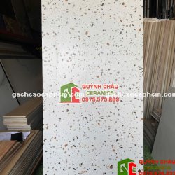 Gạch Terrazzo 60x120 mix màu đá mài đa sắc đẹp