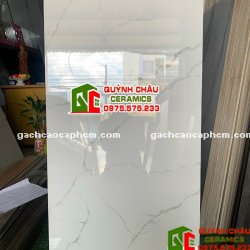 Gạch Viglacera 60x120 granite trắng vân bóng kiếng 