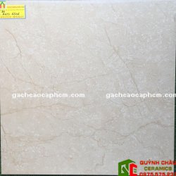 Gạch 60x60 tasa 6506 bóng kiếng lát nền