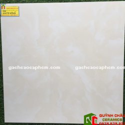 Gạch lát nền bóng kiếng 60x60 tasa 6505