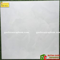 Gạch Bóng Kiếng 60x60 Giá Rẻ Mã 6504