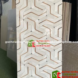 Gạch ấn độ 60x120 ốp trang trí hoạ tiết 3D đẹp