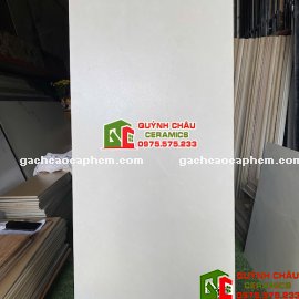 Gạch đá mờ Vitto 60x120 màu kem cao cấp