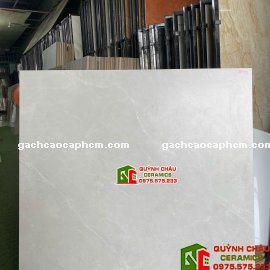  Gạch lát nền mờ mịn Baby Skin xám nhạt 1000x1000 ấn độ