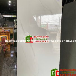 Gạch Vitto 60x120 trắng vân xám bóng kính