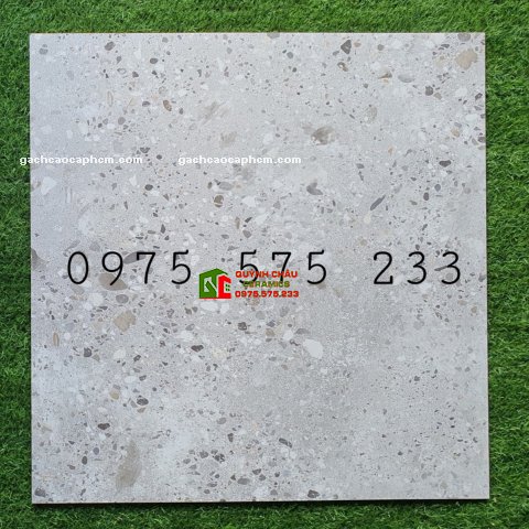 Mẫu gạch ốp lát 80x80 terrazzo hoa cương ấn độ bán giá rẻ