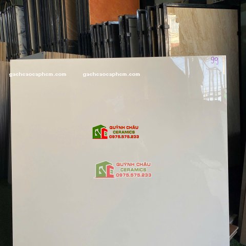Gạch lát nền ấn độ 100x100 xương đá porcelain bề mặt màu trắng bóng kiếng