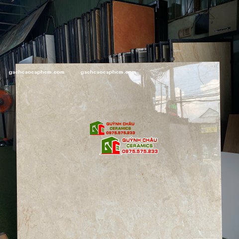 Gạch lát nền ấn độ 120x120cm bóng kiếng vàng Beige vân đá