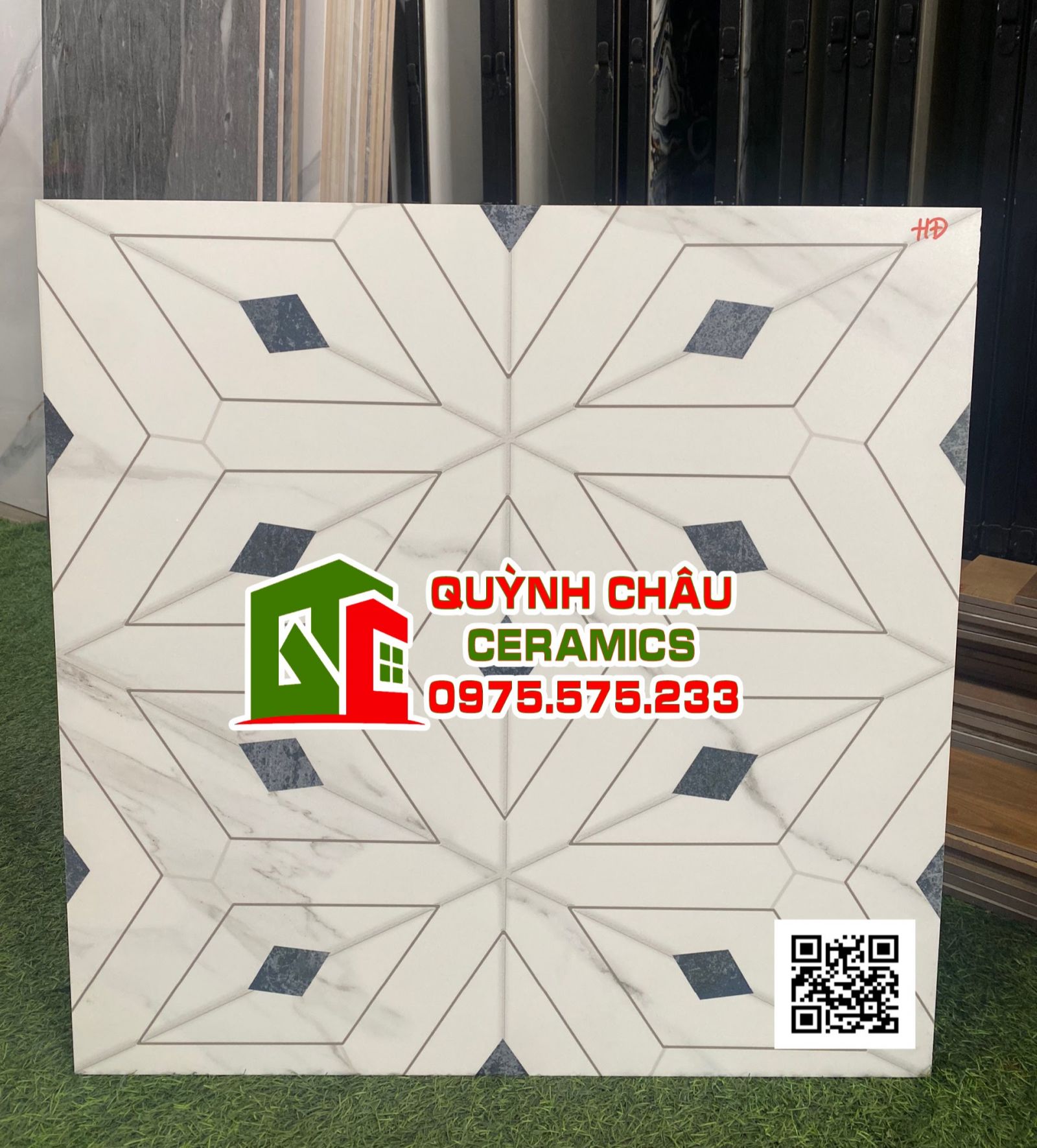 Gạch ấn độ 600x600 men mờ hoa văn đẹp