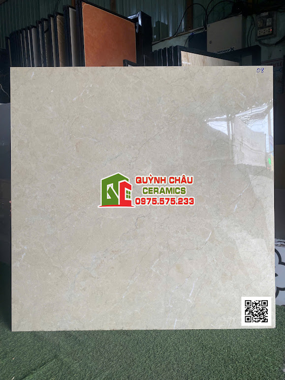 Gạch ấn độ full body 120x120 cao cấp